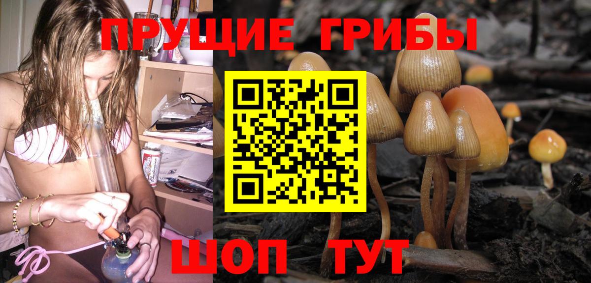 Галлюциногенные грибы Psilocybine cubensis  Псилоцибиновые грибы GOLDEN TEACHER  Вход с VPN  Шатура 